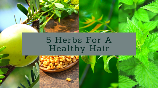 5 Herbs For Healthy Hair Growth